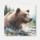 Search for grizzly bears magnets Nature