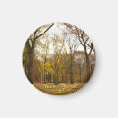 Search for central park magnets Landscape