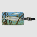 Search for mullet accessories Nature