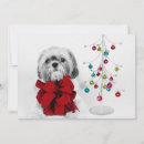 Search for shih tzu christmas cards San francisco california