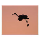 Search for crane posters Silhouette