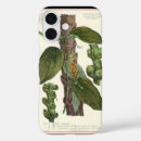 Search for spices iphone cases Food