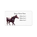 Search for arabian return address labels Horse