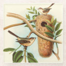 Search for nest coasters Bird