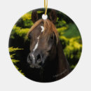 Search for stallion christmas tree decorations Equestrian