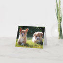 Search for pembroke cards Puppies