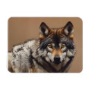 Search for wolf portrait magnets Nature
