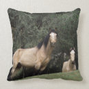 Search for mustang cushions Equestrian