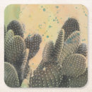 Search for desert coasters Cactus