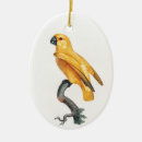 Search for natural christmas tree decorations Bird