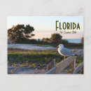 Search for sunshine state postcards Vacation