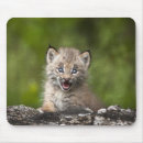 Search for beginnings mousepads Nature