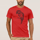 Search for gold macaw Bird