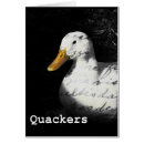 Search for quackers cards Duck