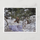 Search for ecology cards Snow
