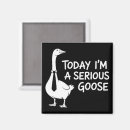 Search for serious magnets Funny goose