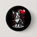 Search for boston terrier valentine Happy