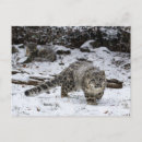 Search for stalking postcards Snow