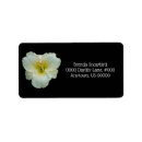Search for white background return address labels Beautiful