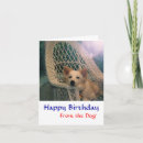 Search for funny border collie cards Animal