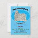 Search for sheepdogs invitations For kids