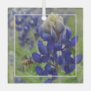 Search for texas bluebonnet christmas tree decorations Wildflower