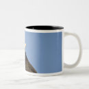 Search for homer alaska mugs Flying