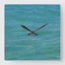 Search for aquamarine clocks Green