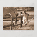 Search for sepia postcards Animal