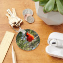 Search for cardinal round key rings Nature