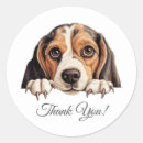 Search for cute dog thank you stickers Beagle