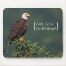 Search for bald eagle mousepads Bird