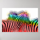 Search for zebra art Colourful