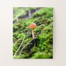 Search for mushroom puzzles Plants