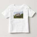 Search for island culture tshirts House