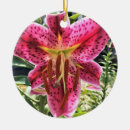 Search for stargazer lily decor Flowers
