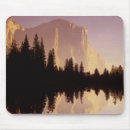 Search for idyllic mousepads Tree