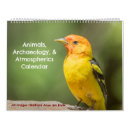 Search for squirrels office supplies Birds