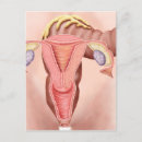 Search for transparent background postcards Square image