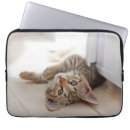 Search for animal hair cases Domestic animals