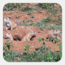 Search for prairie dogs stickers Animals