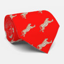 Search for puma ties Wildlife