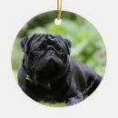 Search for black pug christmas tree decorations Bob and pam langrish