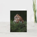 Search for bird of prey cards Birds