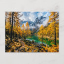 Search for larch Mountain