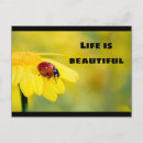Search for life postcards Nature