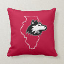 Search for illinois state university College