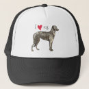 Search for scottish hats Dog
