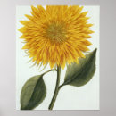 Search for 1737 posters Century