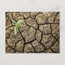 Search for seedlings postcards Horizontal